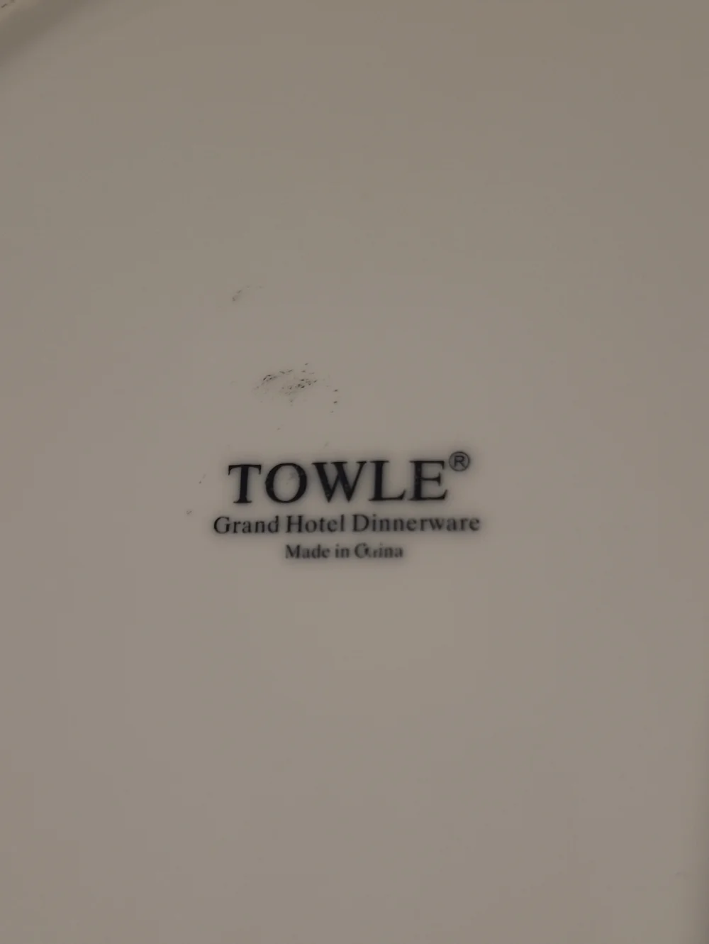 2 Towle Grand Hotel Porcelain Dinner Plates